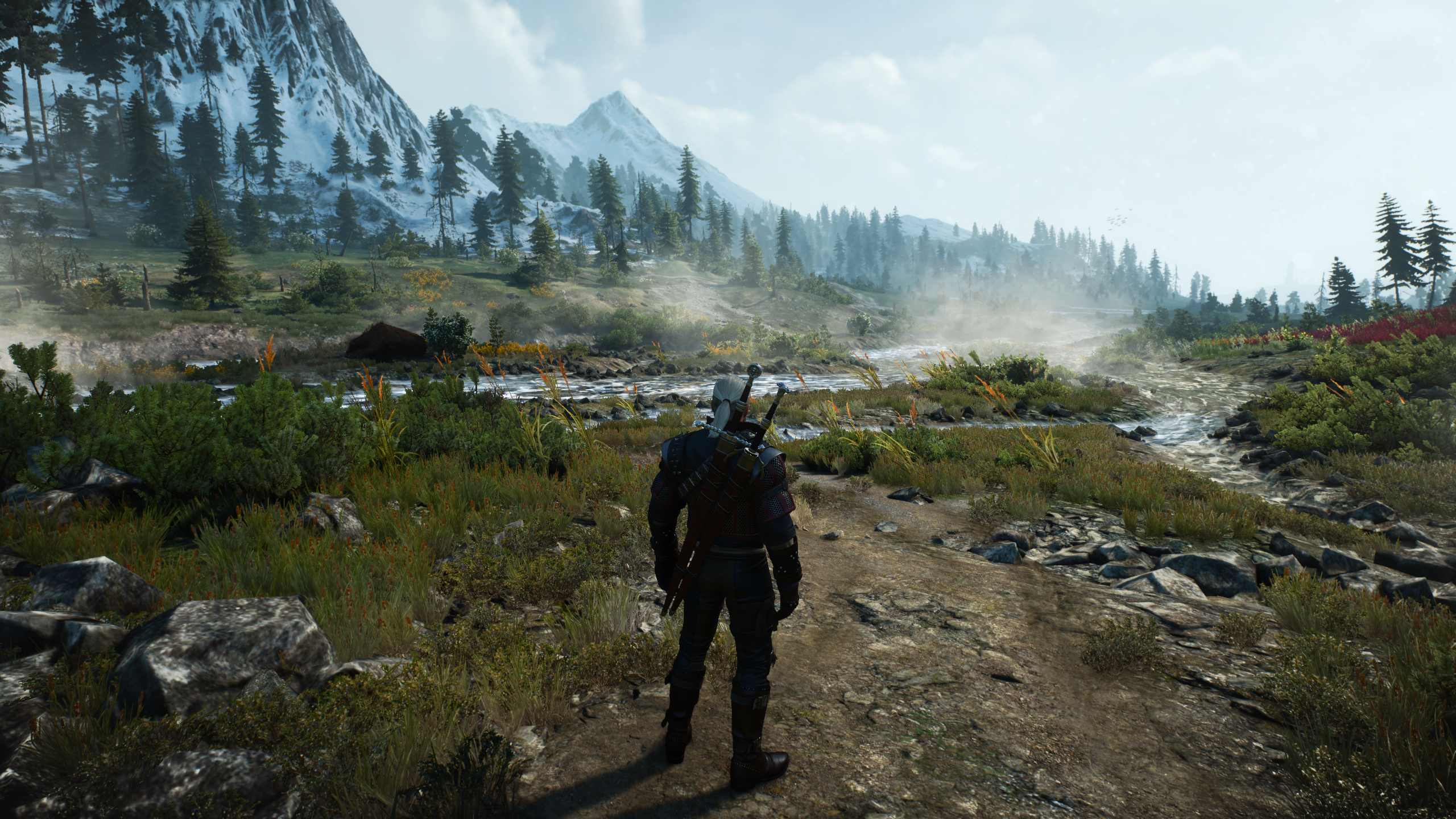 The Witcher 3: Wild Hunt Complete Edition graphic