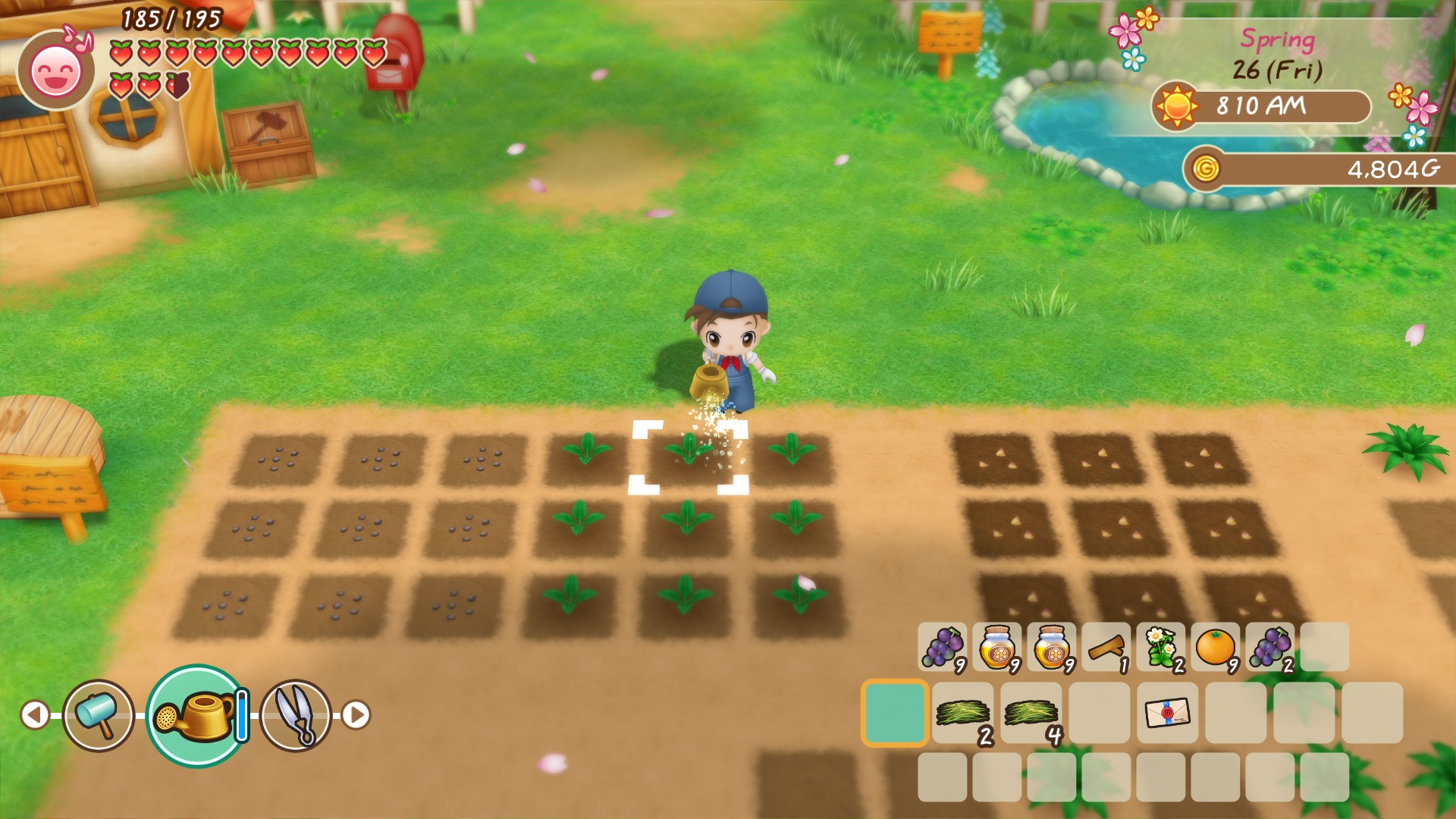 Story of Seasons gameplay