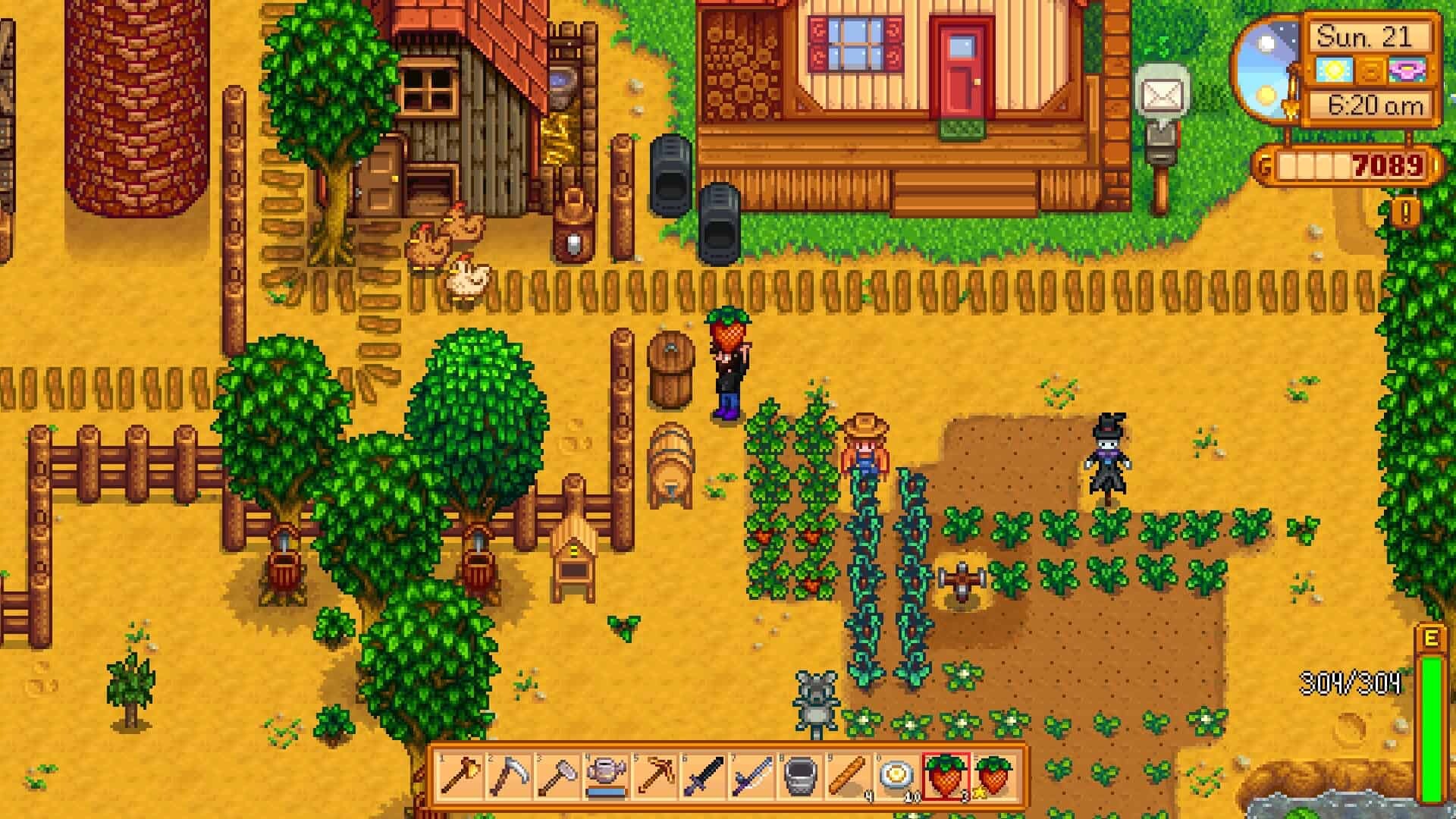 Stardew Valley gameplay