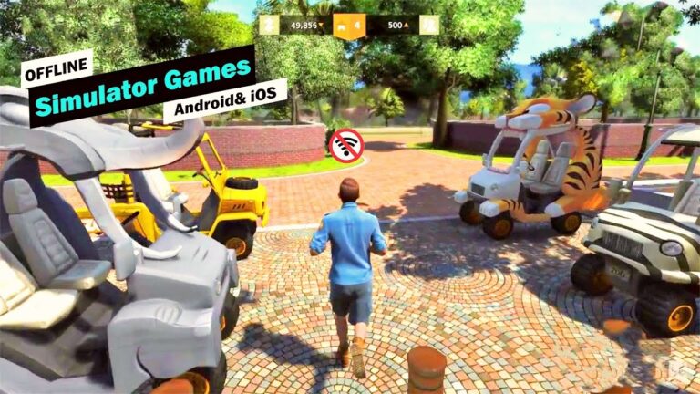 Simulator video game